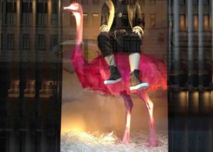 window shop display