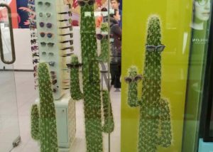 artificial plants