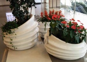 flower pots for sale