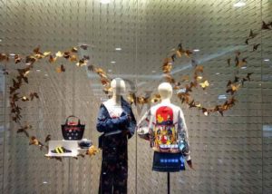 butterfly window display